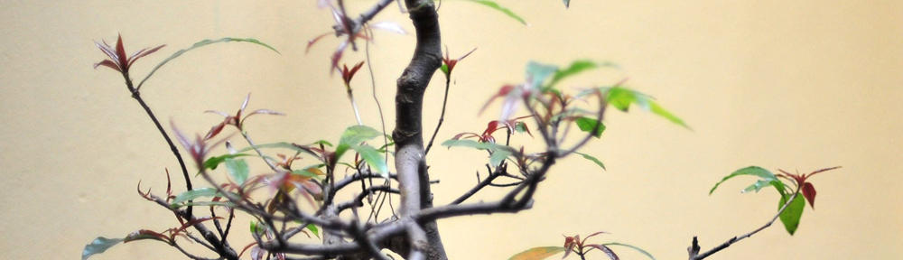 Rick Boone Consulting